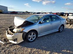 Vehiculos salvage en venta de Copart Amarillo, TX: 2013 Toyota Camry l