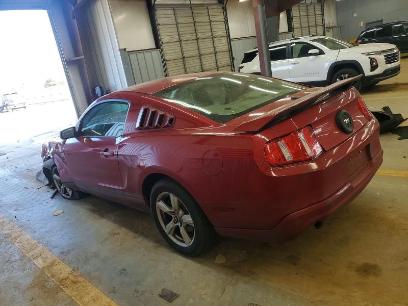 2010 Ford Mustang