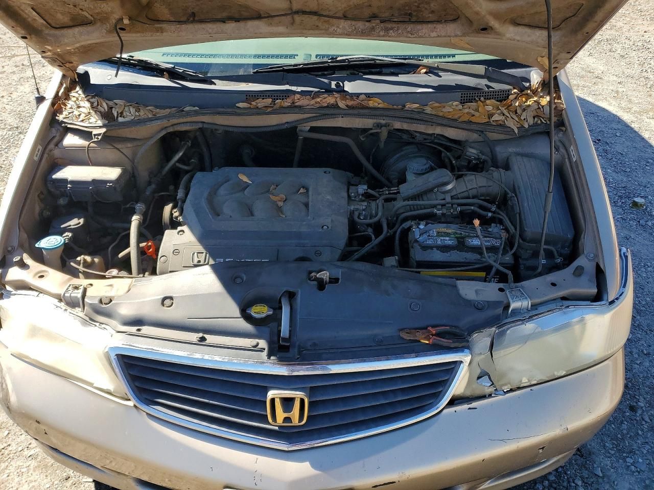 2000 Honda Odyssey ex