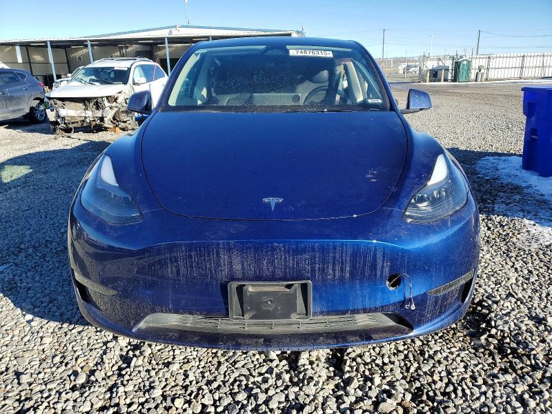 2025 Tesla Model y
