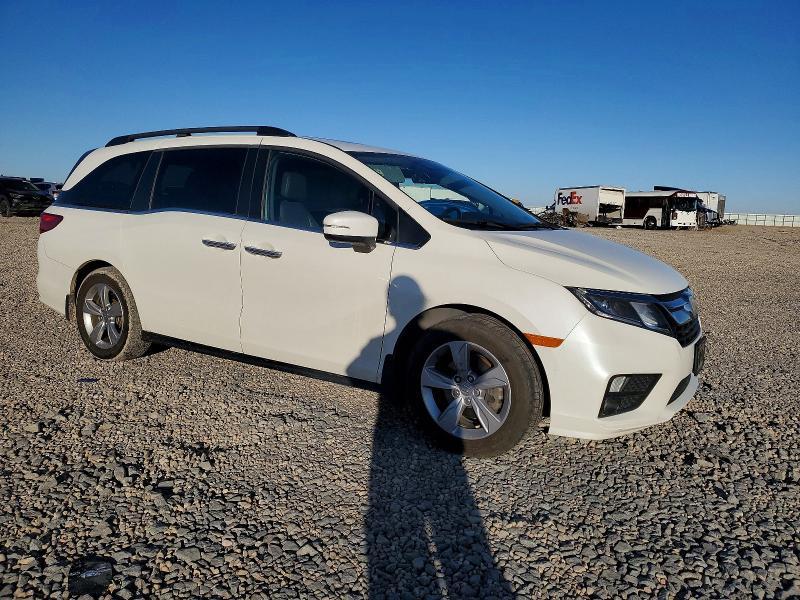 2019 Honda Odyssey exl
