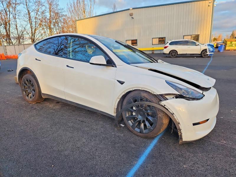 2025 Tesla Model y