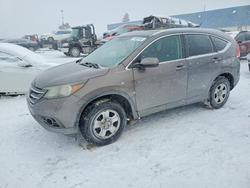 2014 Honda Cr-v exl for sale in Woodhaven, MI