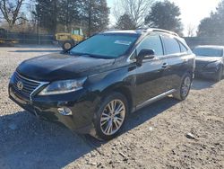 Lexus Vehiculos salvage en venta: 2013 Lexus Rx 350