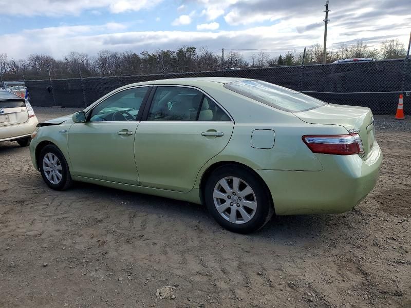 2009 Toyota Camry Hybrid