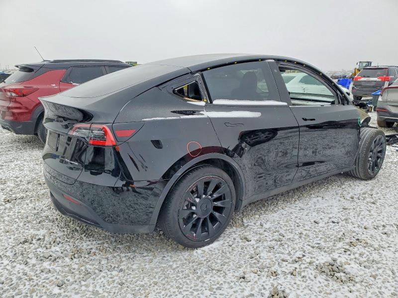 2020 Tesla Model y