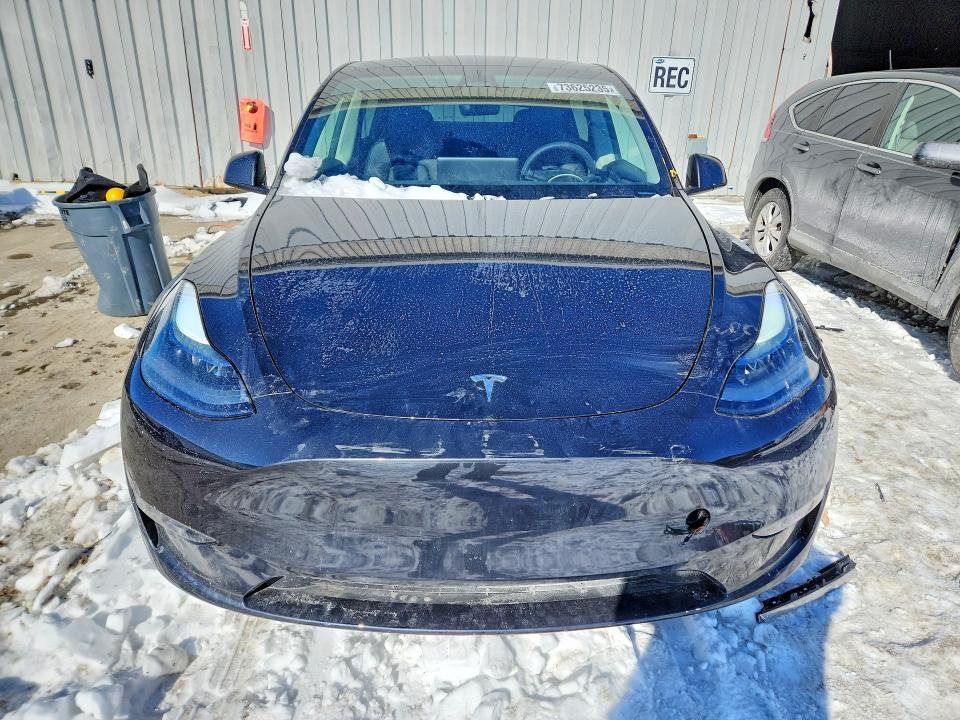 2025 Tesla Model y