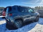 2017 Jeep Renegade Trailhawk