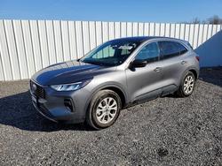 2024 Ford Escape Active for sale in Fredericksburg, VA