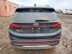 2021 Hyundai Santa fe sel Premium