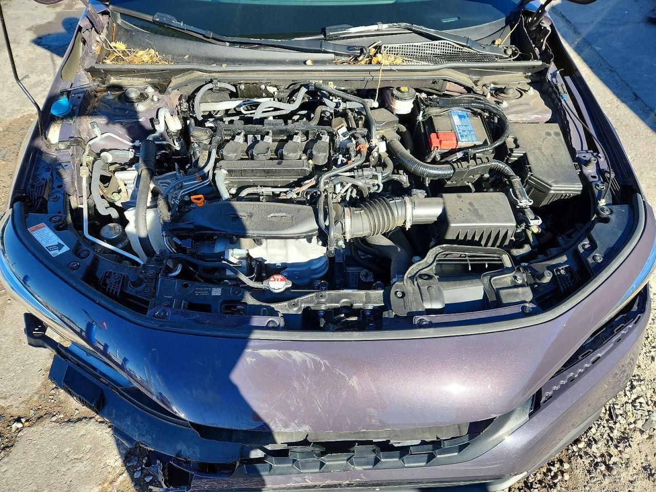 2024 Honda Civic Sport Touring