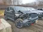 2017 Jeep Renegade Trailhawk