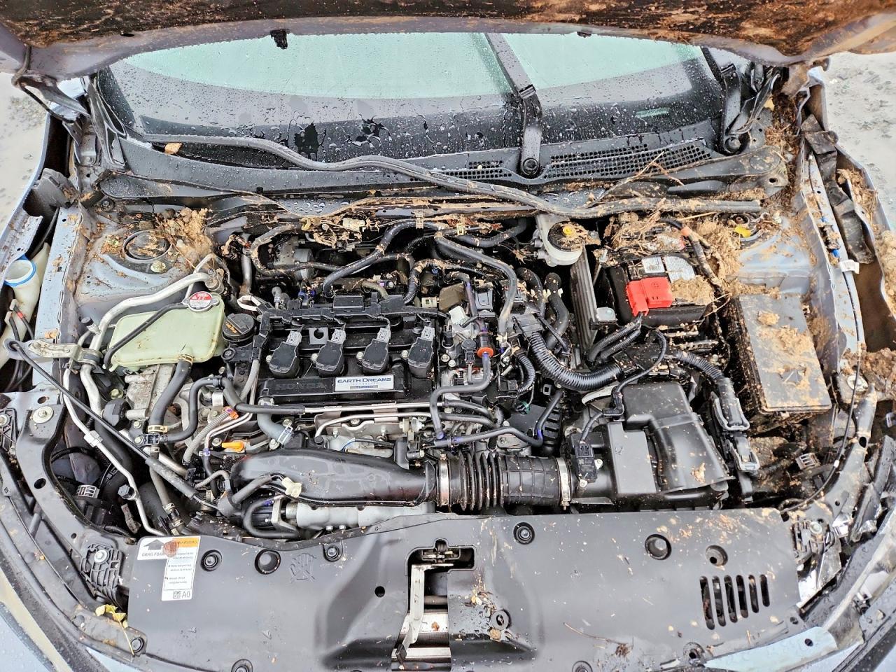 2019 Honda Civic ex