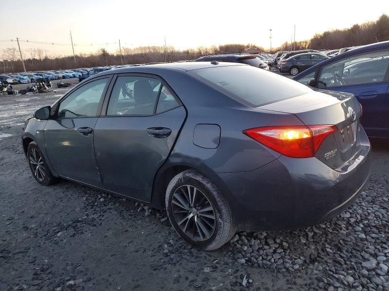 2019 Toyota Corolla l
