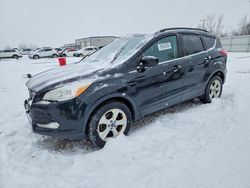 2014 Ford Escape se for sale in Wayland, MI