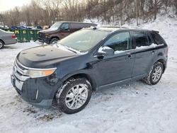 Ford Edge Vehiculos salvage en venta: 2011 Ford Edge Limited