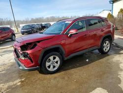 2019 Toyota Rav4 xle for sale in Louisville, KY