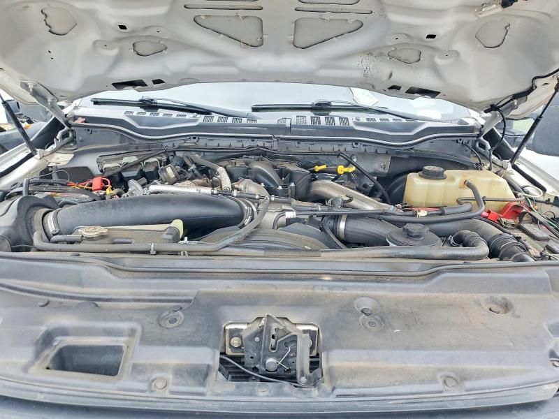 2019 Ford Super Duty F-250 W/S