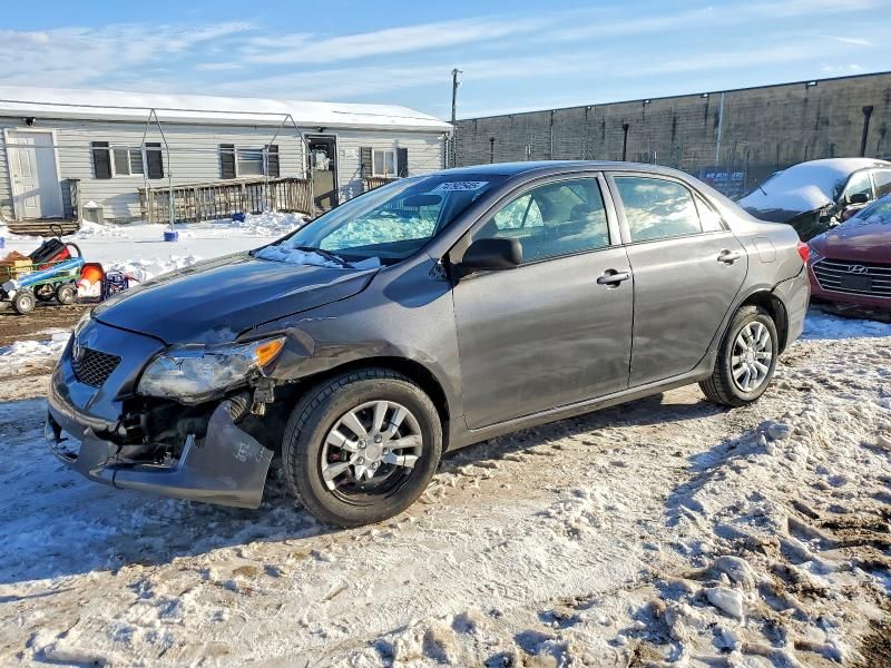 2010 Toyota Corolla Base