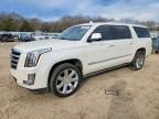 2015 Cadillac Escalade esv Premium