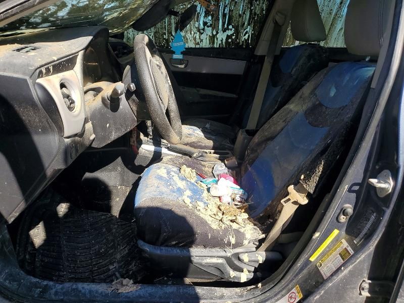 2019 Toyota Corolla l