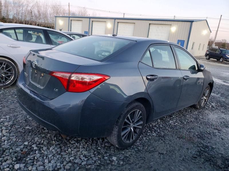 2019 Toyota Corolla l