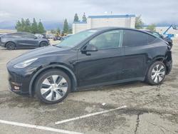 2020 Tesla Model y for sale in Rancho Cucamonga, CA