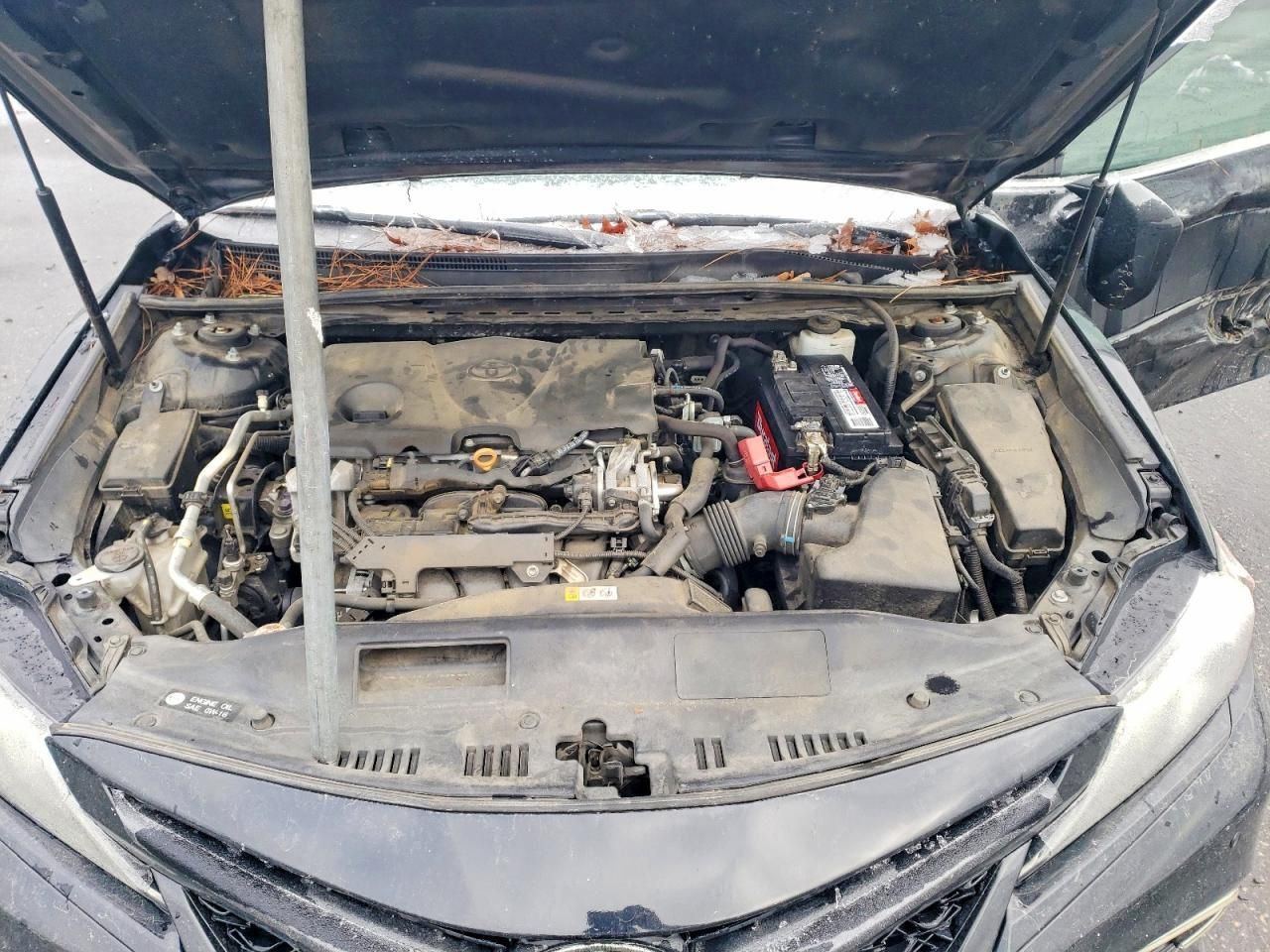 2019 Toyota Camry xse