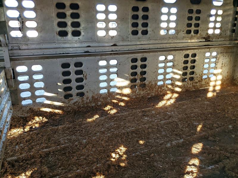 2018 Wilson Livestock Trailer