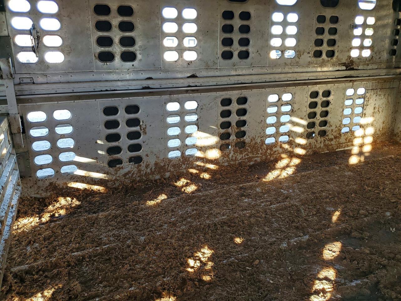 2018 Wilson Livestock Trailer