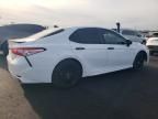 2020 Toyt 2020 Toyota Camry se Night Shade Edition