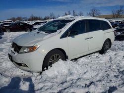 Vehiculos salvage en venta de Copart Bridgeton, MO: 2013 Honda Odyssey exl
