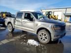 2025 Ford F150 stx