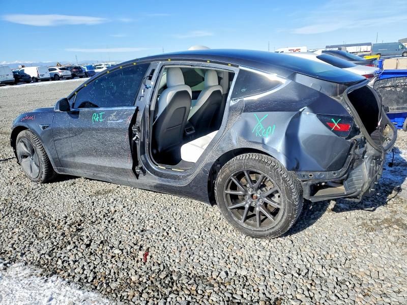 2019 Tesla Model 3