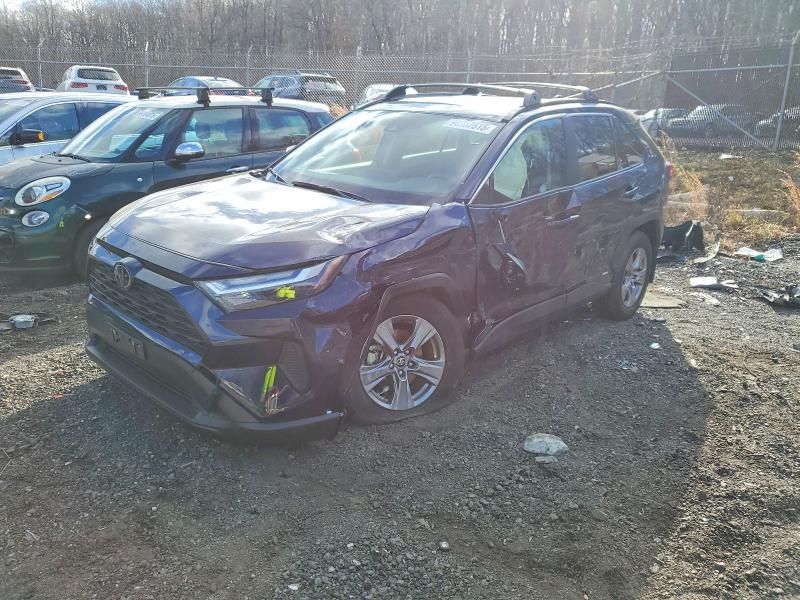 2025 Toyota Rav4 xle