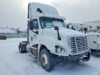 2016 Freightliner Cascadia 125 Semi Truck