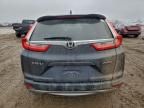 2019 Honda Cr-v exl