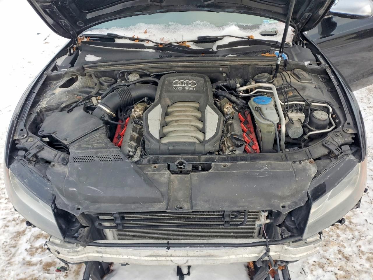 2010 Audi S5 Premium Plus