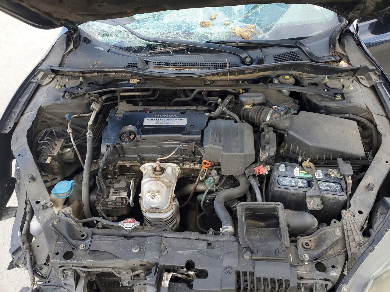 2013 Honda Accord exl