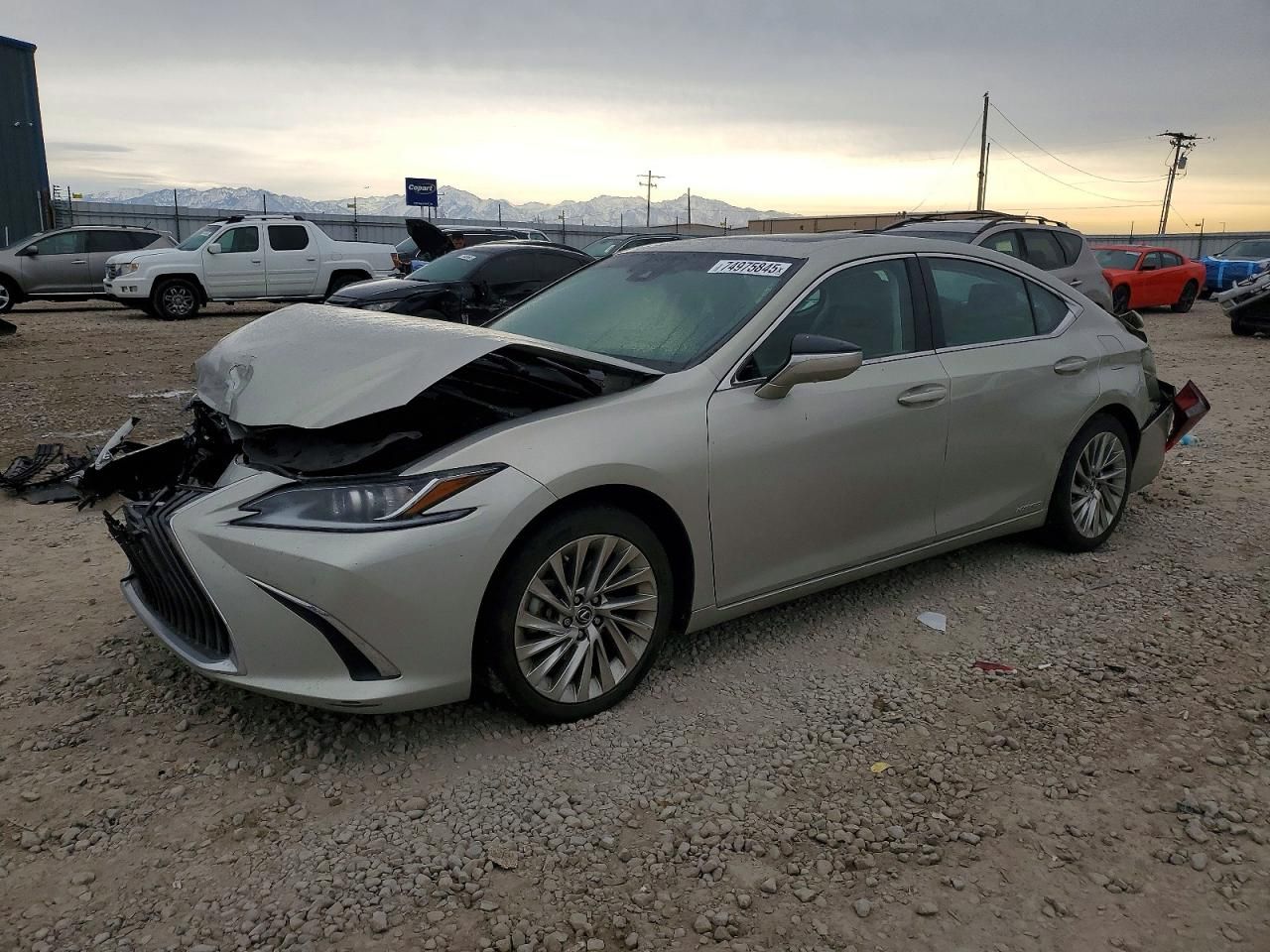 2019 Lexus Es 300h