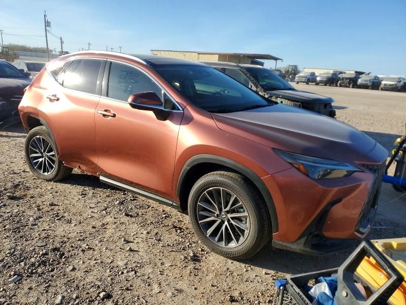 2025 Lexus Nx 350 Luxury