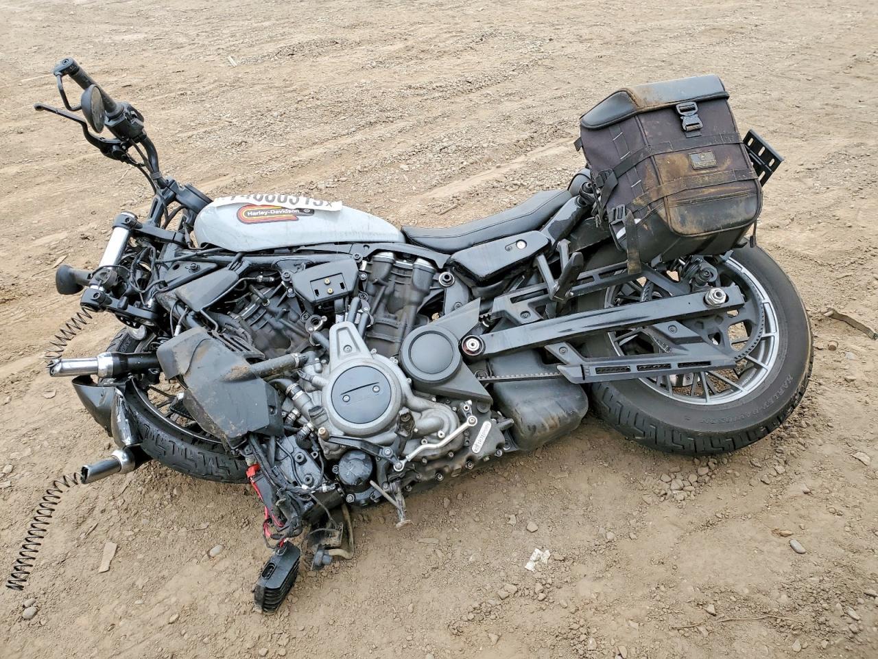 2024 Harley-Davidson Night