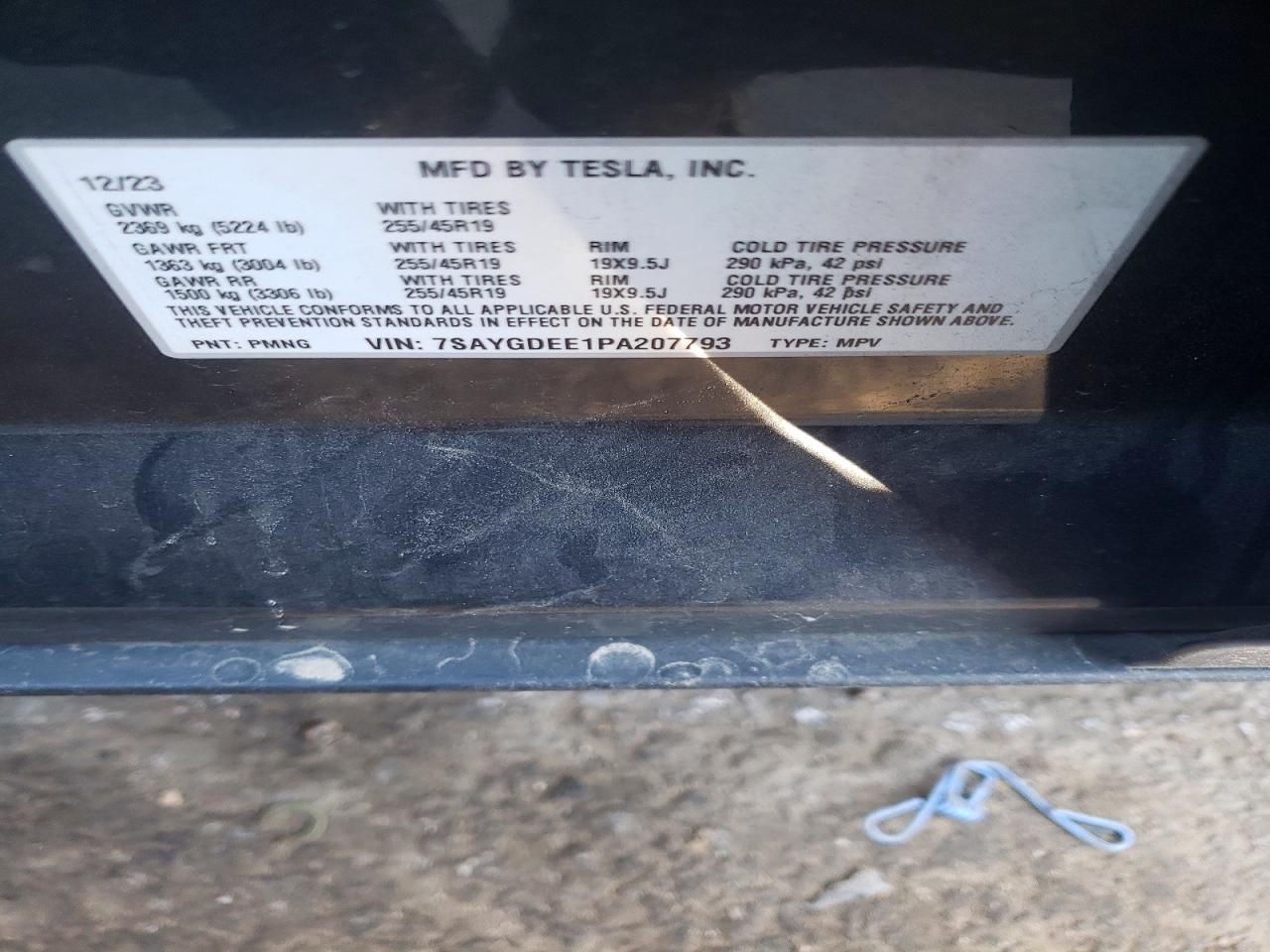 2023 Tesla Model y