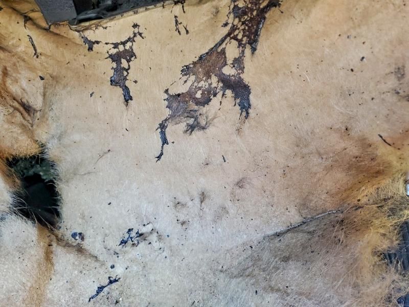 2013 Dodge Journey se