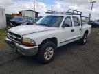2004 Dodge Dakota Quad slt