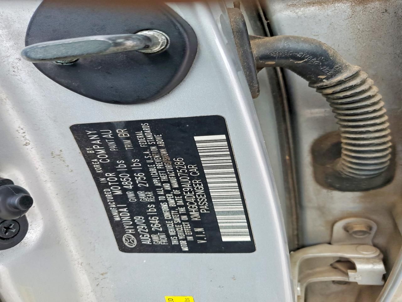 2010 Hyundai Genesis 3.8l