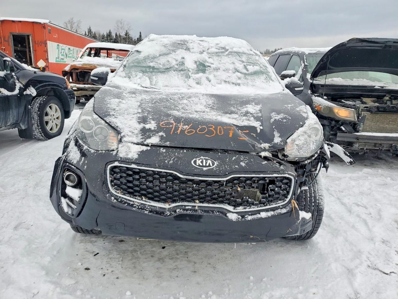 2017 KIA Sportage ex