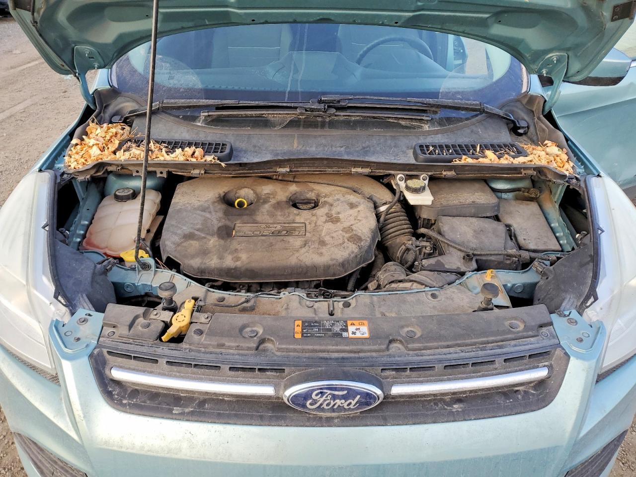 2013 Ford Escape se