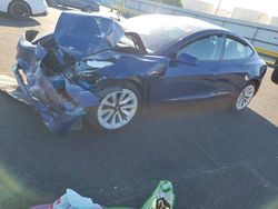 Vehiculos salvage en venta de Copart Martinez, CA: 2023 Tesla Model 3