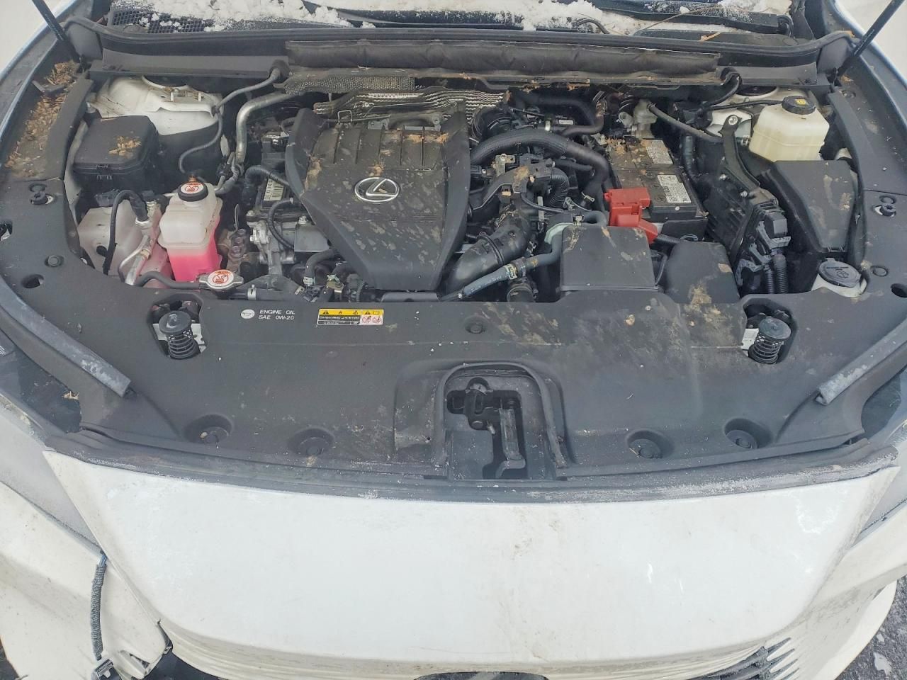 2024 Lexus Rx 350 Base